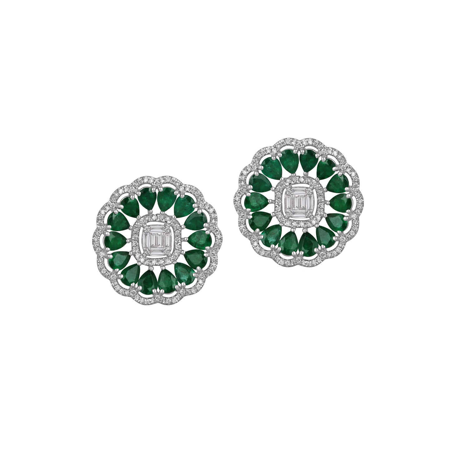 Evergreen Halo